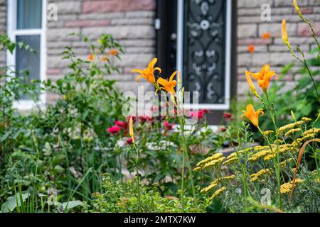 Haus im gemütlichen Stil mit englischem Cottage Design Garten, Brownsburg, Quebec, Kanada Stockfoto