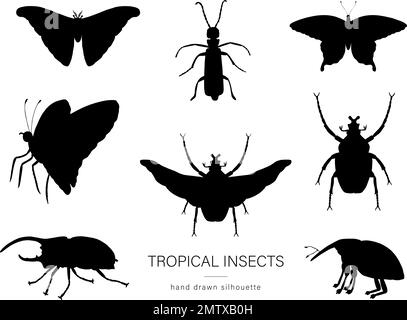 Vektorsatz tropischer Insekten. Von Hand gezeichnete schwarze Silhouetten von Atlas Motte, Weevil, Schmetterling, goliath, Herkules-Käfer, Spanische Fliege. Set aus tropischem Bu Stock Vektor