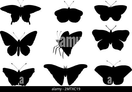 Ein Vektorset Schmetterlinge. Von Hand gezeichnete schwarze Silhouetten von Atlas Motte, Weevil, Schmetterling, goliath, Herkules-Käfer, Spanische Fliege. Satz Tropen-Bugs o Stock Vektor