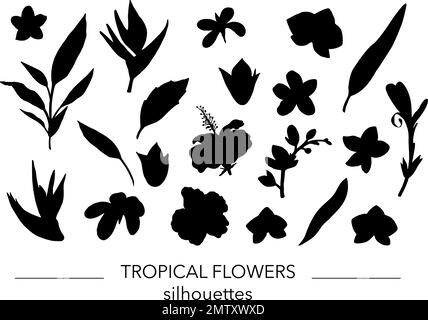 Vektorset mit tropischen Blättern und Blumen Silhouetten. Schablone aus Dschungelblattwerk. Handgezeichnete Palme, Banane, Monstera, Dieffenbachia, Farn, Al Stock Vektor