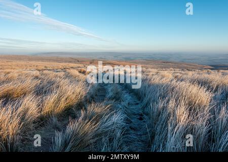 Langes Gras auf Moorland mit Frost an einem atemberaubenden kalten Wintertag auf Ilkley Moor, West Yorkshire, England, Großbritannien Stockfoto