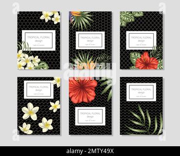 Tropische Blumenmuscheln mit handgezeichneten Plumeria-, Hibiskus-, strelitzia-, Monstera- und Palmenblättern. Perfekt für romantisches Design, BA Stock Vektor