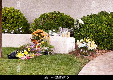 Außenansicht des verstorbenen legendären Schauspielers Tony Curtis' Haus in Henderson, Nevada, wo er am 29. September an einem Herzstillstand starb. Einige Vasen und Blumen wurden auf den Vorgarten des bescheidenen Vorstadthauses gestellt. Curtis, Vater der Hollywood-Schauspielerin Jamie Lee Curtis, spielte in den Hollywood-Klassikern „Some Like IT Hot“ und „Spartacus“ mit, fiel aber tragischerweise in Vergessenheit, nachdem er unter Alkoholismus und Drogenabhängigkeit litt. Curtis' Familie wird seine Beerdigung angeblich am 4. Oktober auf dem Palm Memorial Park Cemetery in Green Valley, Nevada, abhalten. Henderson, NV. 10/02/10. . Stockfoto