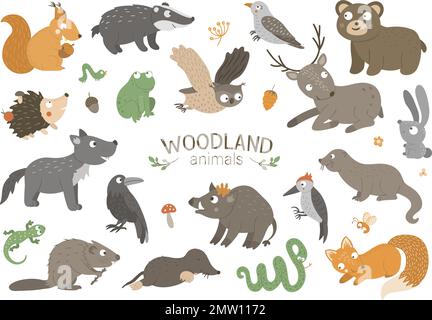 Ein Satz von Vektortieren, die von Hand gezeichnet wurden und flache Waldtiere sind. Lustige animalistische Sammlung. Niedliche Waldillustrierung für Kindermotive, Aufdruck, Schreibwaren Stock Vektor