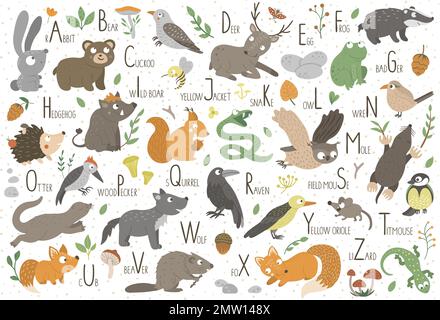 Waldalphabet für Kinder. Süßes flaches ABC mit Waldtieren. Horizontales Layout lustiges Poster zum Unterrichten des Lesens auf weißem Hintergrund. Stock Vektor