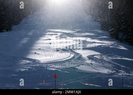 Pulverschnee mit Hintergrundbeleuchtung; Ski- und Snowboardresort Monarch Mountain an der kontinentalen Wasserscheide in Colorado, USA Stockfoto