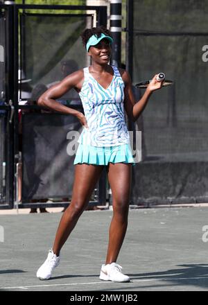 Venus Williams bei der alljährlichen All Star Tennis Charity Event 6. im Ritz-Carlton Key Biscayne in Miami, FL. 24. März 2015. Stockfoto
