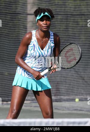 Venus Williams bei der alljährlichen All Star Tennis Charity Event 6. im Ritz-Carlton Key Biscayne in Miami, FL. 24. März 2015. Stockfoto