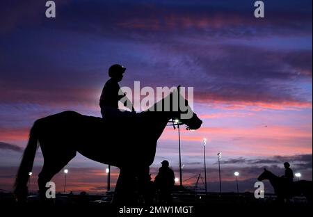 Läufer und Reiter, die sich auf den Weg machen, um die Sonne zu untergehen, bevor der Unibet Horserace Betting Operator of the Year die Einsätze auf der Kempton Park Racecourse, Sunbury-on-Thames, Surrey, klassifiziert. Bilddatum: Mittwoch, 1. Februar 2023. Stockfoto