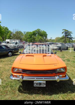 Old Orange 1972 IKA Renault Torino Lutteral Comahue Sport Coupé im Park. Natur, Gras, Bäume. Autoclasica 2022 Oldtimer-Show. Vorderansicht Kopierbereich Stockfoto