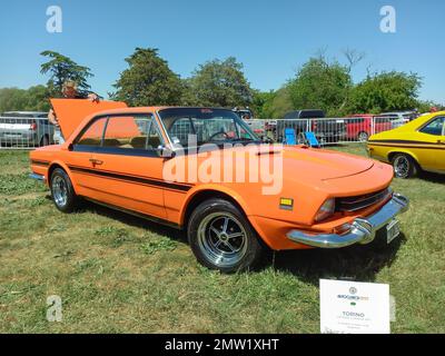 Altes orangefarbenes 1972 IKA Renault Torino Lutteral Comahue Sport-Coupé in einem Park. Natur, Gras, Bäume. Autoclasica 2022 Oldtimer-Show. Stockfoto