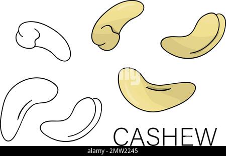 Vektor schwarz-weiß und farbiges Cashew-Symbol. Satz isolierter Muttern. Darstellung von Speisen im Cartoon- oder Doodle-Stil, isoliert auf weißem Hintergrund. Stock Vektor