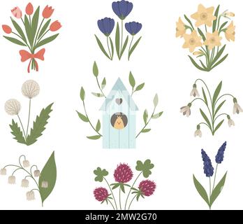 Vektorset mit süßen, flachen Frühlingsblumen und Starlinghaus mit Küken drinnen. Die erste Illustration blühender Pflanzen mit Vogelhaus. Blumenclip Art colle Stock Vektor