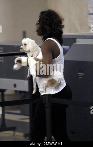 Frisch nach dem Wimbledon-Sieg kommen die Schwestern Serena und Venus Williams am Los Angeles International Airport an, um einen Flug aus der Stadt zu erwischen. Die Schwestern hatten eine große Menge Gepäck zwischen sich und brachten sogar ihre kostbaren Welpen für die Reise mit. Während des diesjährigen Turniers in Wimbledon erhielt Serena den Titel von der älteren Schwester und dem zweimaligen Verteidiger Venus. Später am Tag gewannen die Schwestern den vierten Doppel-Titel für Frauen. Los Angeles, Kalifornien. 7/17/09. Stockfoto