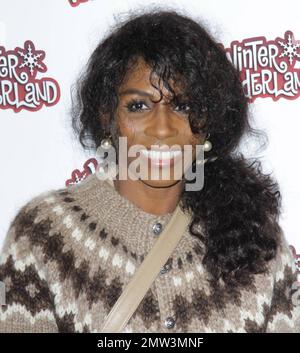 Sinitta bei der VIP-Einführung des Winter Wonderlands im Hyde Park mit festlichen Lichtern und einer Eisbahn. London, Großbritannien. 11/18/10. Stockfoto