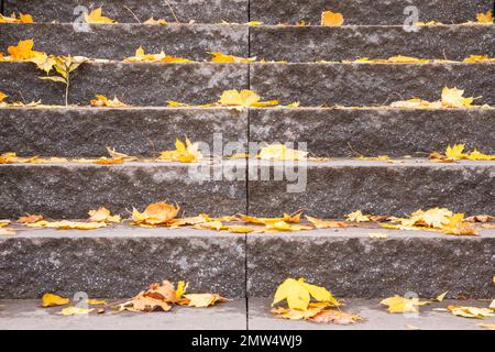 Treppen in einem Herbstpark mit gelben Blättern an klaren Herbsttagen. Stockfoto