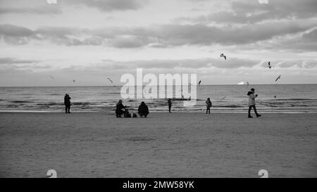 Eine Graustufenaufnahme von Menschen, die Möwen an einem Strand in Swinoujscie, Polen, betrachten. Stockfoto