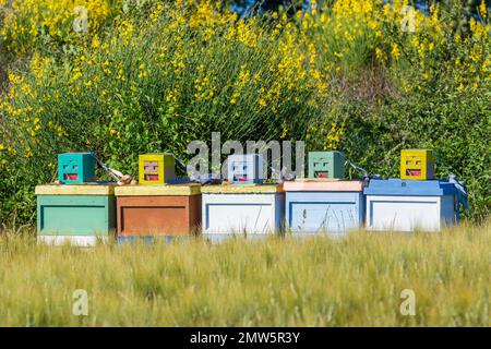 Malerischer Blick auf bunte Bienenstöcke in der Provence südlich von Frankreich Stockfoto