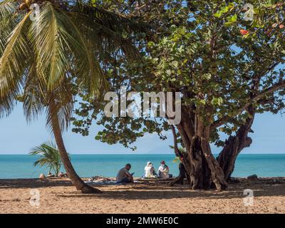 Ein Blick durch Palmen von Frauen und Männern, die sich am Sandstrand im Schatten entspannen, mit Blick auf das Meer und mit Blick auf das Telefon Stockfoto