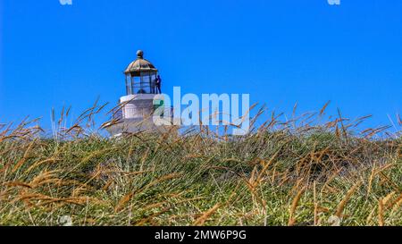 Der Leuchtturm Faro Los Morrillos in Cabo Rojo gegen das Gras am blauen Himmel Stockfoto