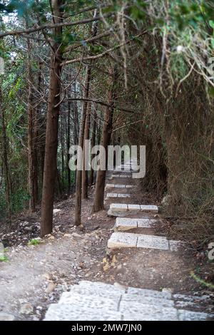 Steintreppen, die in den Felsen des Mount Carmel gehauen wurden, gehen hinab zum Strand von bat Galim. Haifa, Israel Stockfoto