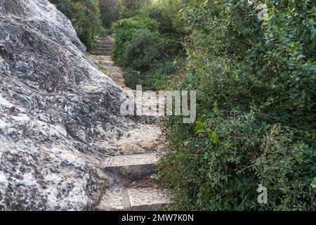 Steintreppen, die in den Felsen des Mount Carmel gehauen wurden, gehen hinab zum Strand von bat Galim. Haifa, Israel Stockfoto