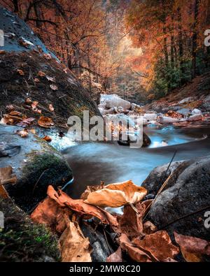 Malerischer Herbstblick vom Smoky Mountain National Park mit bunten Herbstlaub und Bach Stockfoto