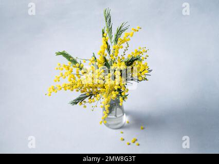 Ein Strauß gelber Mimosablüten steht in einer Glasvase auf blauem Hintergrund. Konzept vom 8. März, fröhlicher Frauentag. Draufsicht und Kopierbereich. Stockfoto