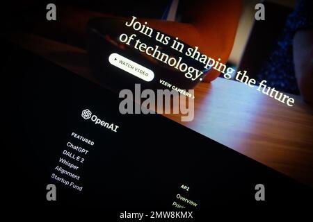 Die OpenAI-Website wurde auf dem Computer geöffnet. OpenAI ist das Unternehmen hinter dem künstlichen Intelligenz-bot ChatGPT und das beste Modell für die Erstellung digitaler, fotorealistischer Bilder – DALL E. Foto: Davor Puklavec/PIXSELL Stockfoto