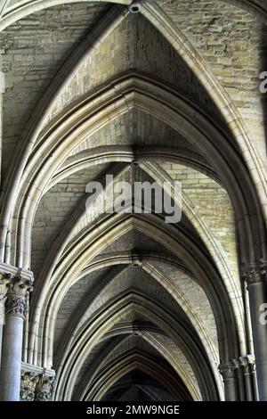 Reims, Francja, Frankreich, Cathédrale Notre-Dame, Kathedrale unserer Lieben Frau, innen, Kreuzrippengewölbe, nawa Stockfoto