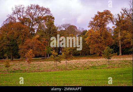 Wunderschöne und farbenfrohe Herbstlandschaft im Camperdown Country Park in Dundee in Schottland, Großbritannien Stockfoto