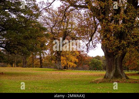 Wunderschöne und farbenfrohe Herbstlandschaft im Camperdown Country Park in Dundee in Schottland, Großbritannien Stockfoto