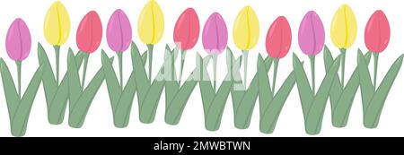 Helle, mehrfarbige Tulpen, die in einer unebenen Linie angeordnet sind. Frühling. Isolieren. 8. März. Glücklicher Frauentag. Gut geeignet für Verpackung, Druck oder Poster, Broschüren, Etiketten, Preise, Begrüßung oder Einladung. EPS Stock Vektor