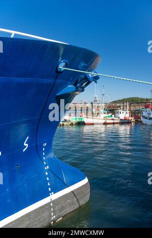 Fischerboote in Black's Harbour, New Brunswick, Kanada Stockfoto