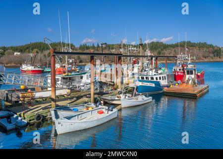 Fischerboote in Black's Harbour, New Brunswick, Kanada Stockfoto