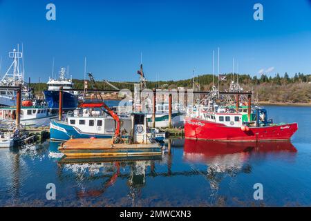 Fischerboote in Black's Harbour, New Brunswick, Kanada Stockfoto