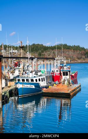 Fischerboote in Black's Harbour, New Brunswick, Kanada Stockfoto