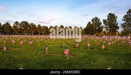 Eine große Gruppe amerikanischer Flaggen auf einem Feld. Veteranentag-Konzept. Stockfoto