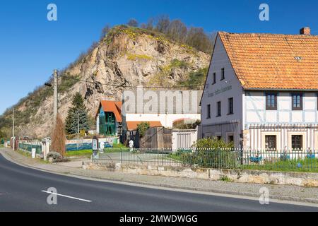 Historischer Weinkeller zur Alten Bosel und Schabeborn Weingut, im Hintergrund die Boselspitze mit blühendem Bergmadwort (Alyssum montanum) Stockfoto