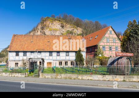 Historischer Weinkeller zur Alten Bosel und Boselhof, im Hintergrund die Boselspitze mit blühendem Bergmadwort (Alyssum montanum) Stockfoto