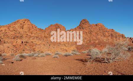 Rote Felsformationen im Valley of Fire in Nevada, USA. Stockfoto