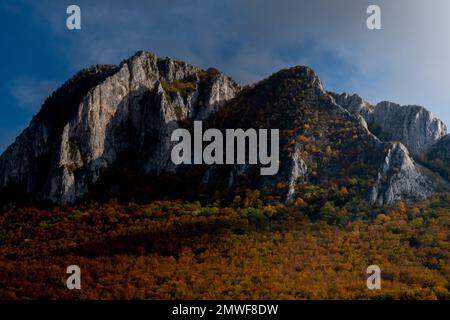 Der gelbe Wald mit einem Berg im Hintergrund an einem sonnigen Herbsttag Stockfoto