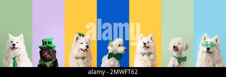 Festliche Collage für St. Patrick's Day-Feier mit süßen Hunden auf farbigem Hintergrund Stockfoto
