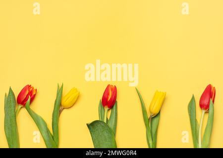 Wunderschöne Tulpenblumen auf gelbem Hintergrund. Hallo Frühling Stockfoto
