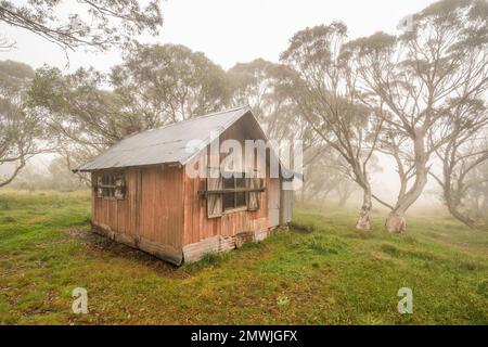 Eine verlassene Holzhütte in einem Schneegummi-Wald im Nebel auf Mount Hotham, Victoria, Australien Stockfoto