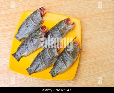 Der Kletterbarsch ist ein in Asien einheimischer Süßwasserfisch. Er kann ohne Wasser von einem Ort zum anderen kriechen. Stockfoto