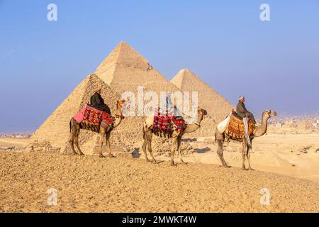 Pyramiden von Gizeh mit Kamelen bei Sonnenuntergang, Kairo, Ägypten Stockfoto