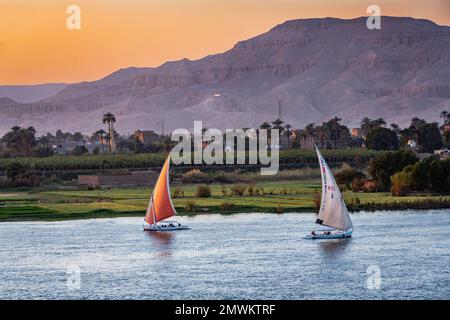 Felukken auf dem Nil bei Sonnenuntergang, Assuan, Ägypten Stockfoto