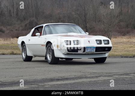 Weißer 1979 Pontiac Trans am mit Dreiviertelblick vor den Winterbäumen bei sanftem Licht. Stockfoto