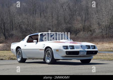 Weißer 1979 Pontiac Trans am in einem niedrigen Dreiviertelblick vor den Winterbäumen in der hellen Sonne. Stockfoto